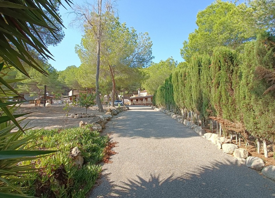 Videresalg - Fritliggende villa -
Torremendo