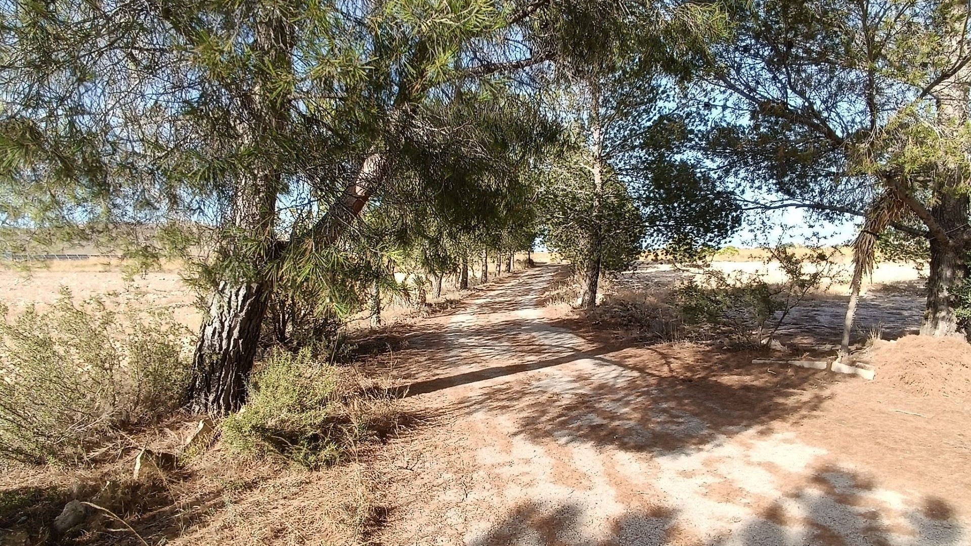 Videresalg - Fritliggende villa -
Yecla