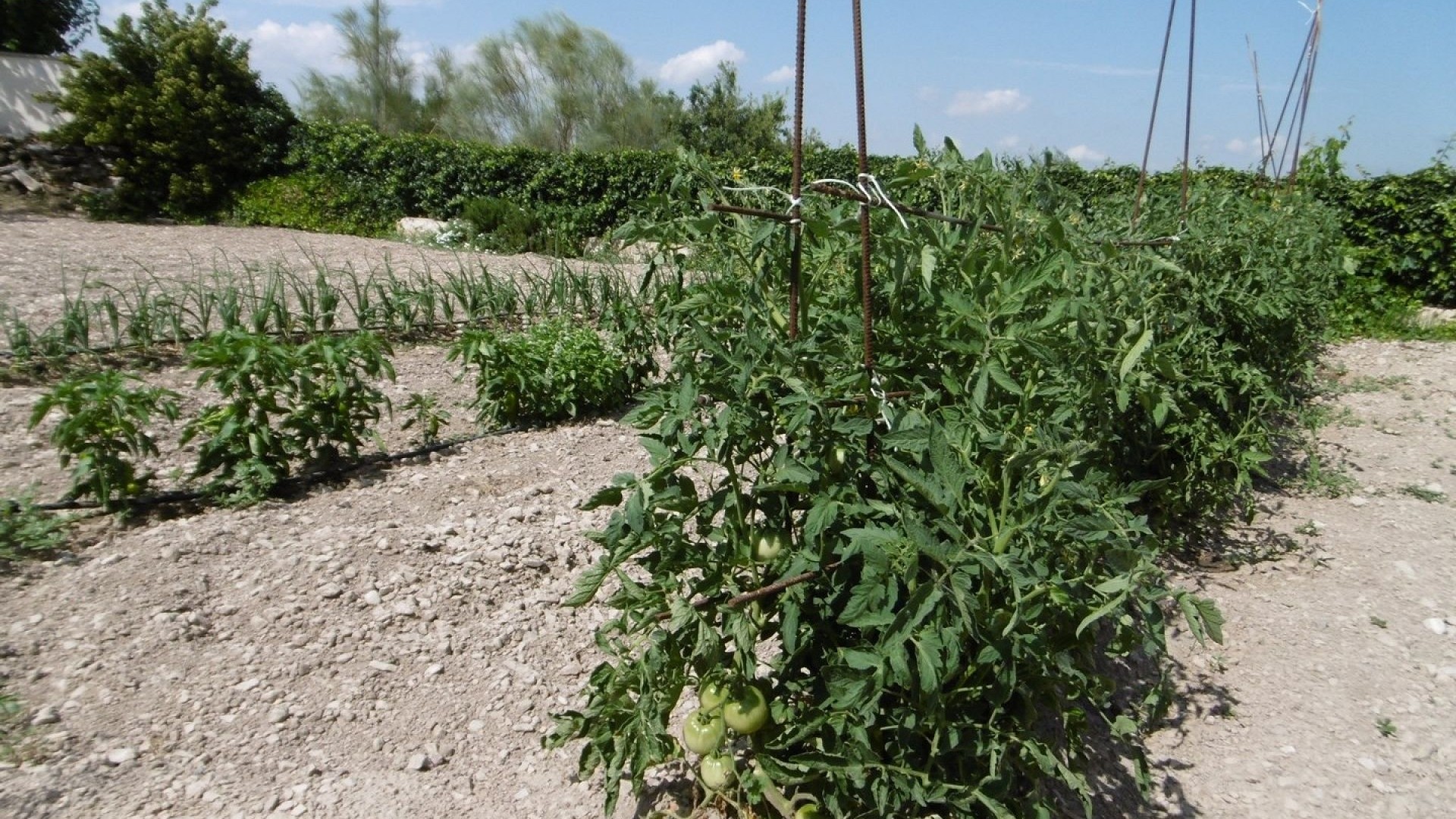 Videresalg - Fritliggende villa -
Yecla