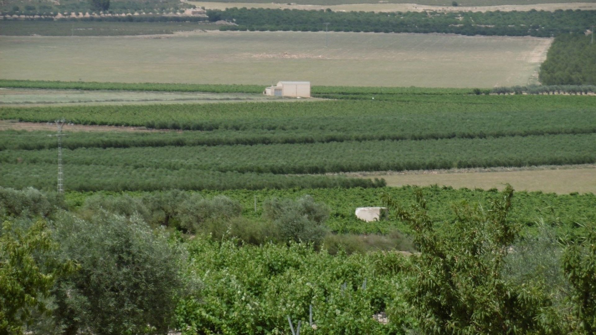 Videresalg - Fritliggende villa -
Yecla