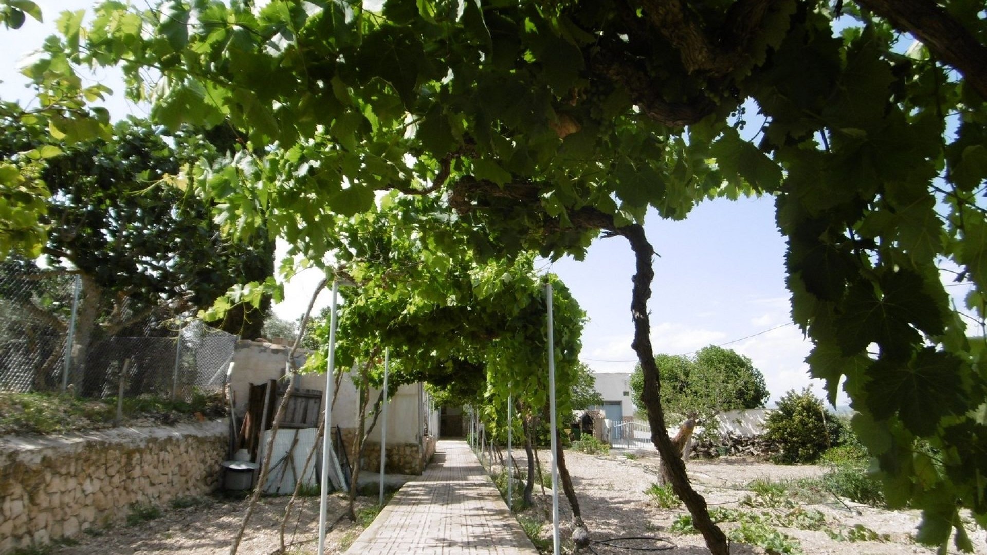 Videresalg - Fritliggende villa -
Yecla