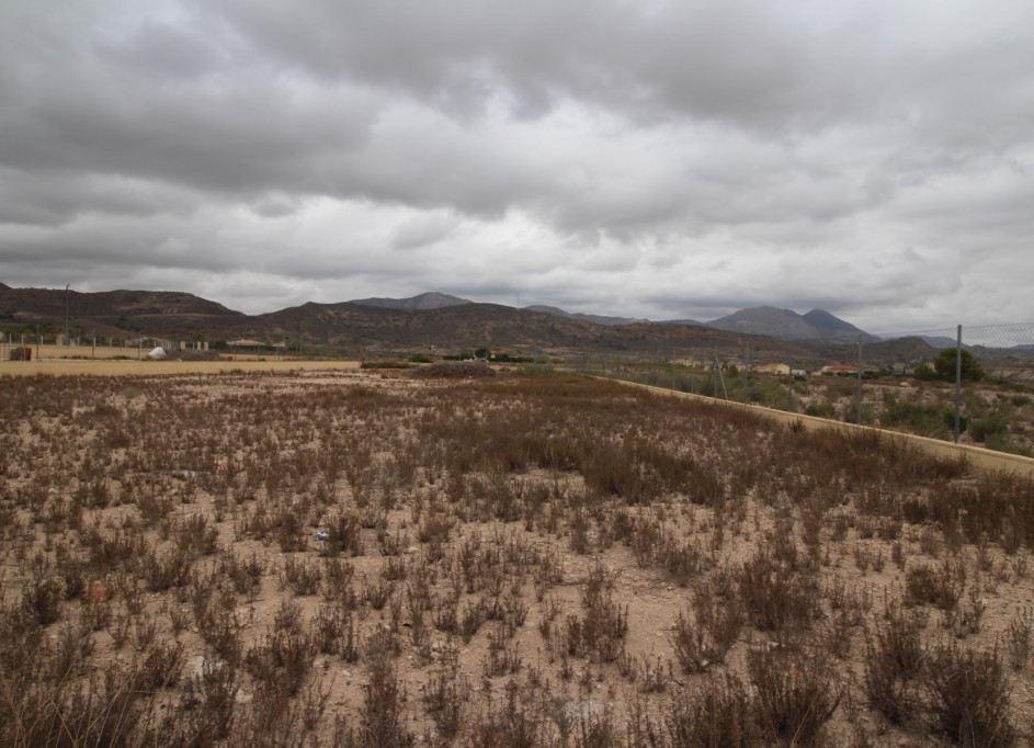 Videresalg - Grund Jord -
Abanilla