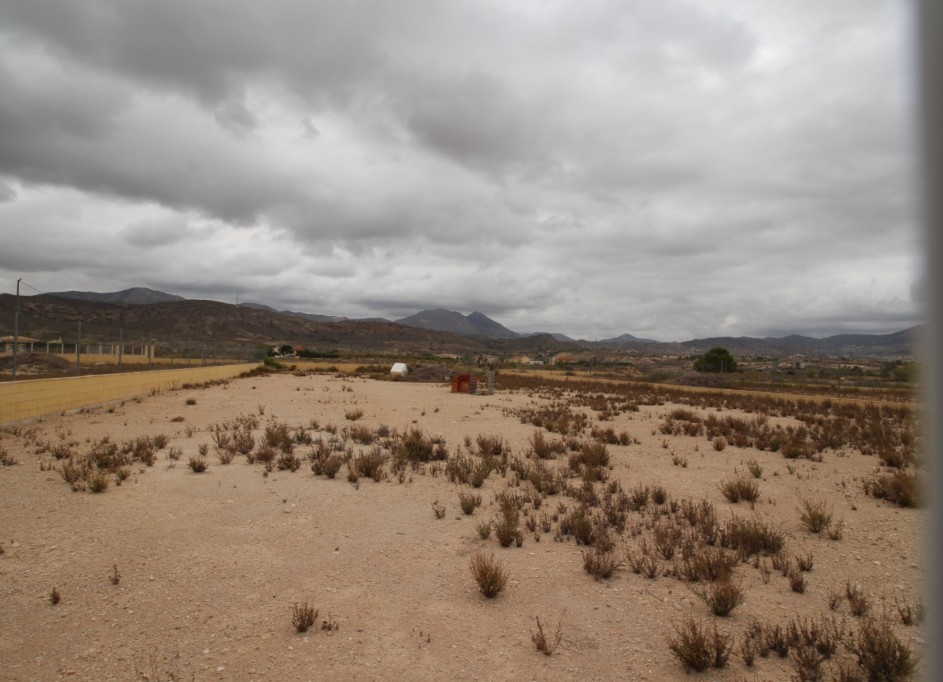 Videresalg - Grund Jord -
Abanilla