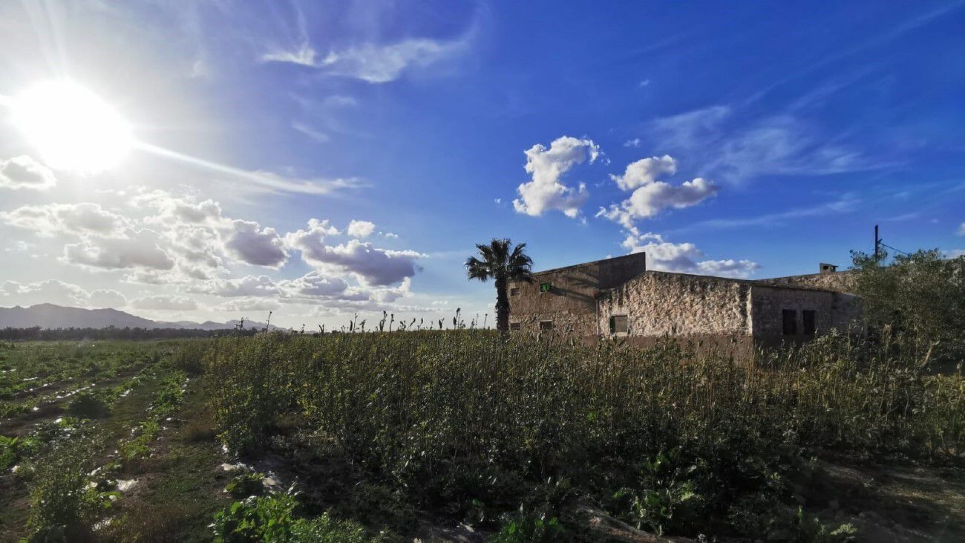 Videresalg - Grund Jord -
Albatera