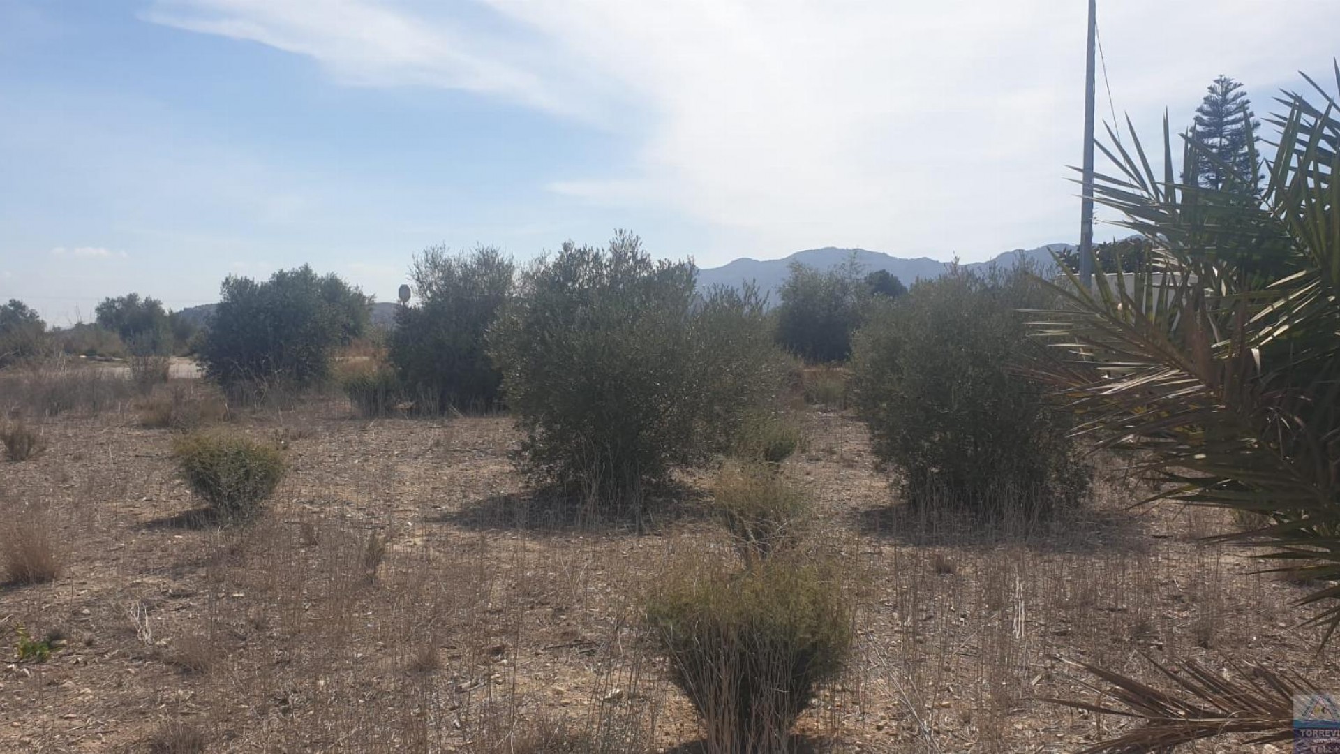 Videresalg - Grund Jord -
Benferri - HUERTA PUEBLO