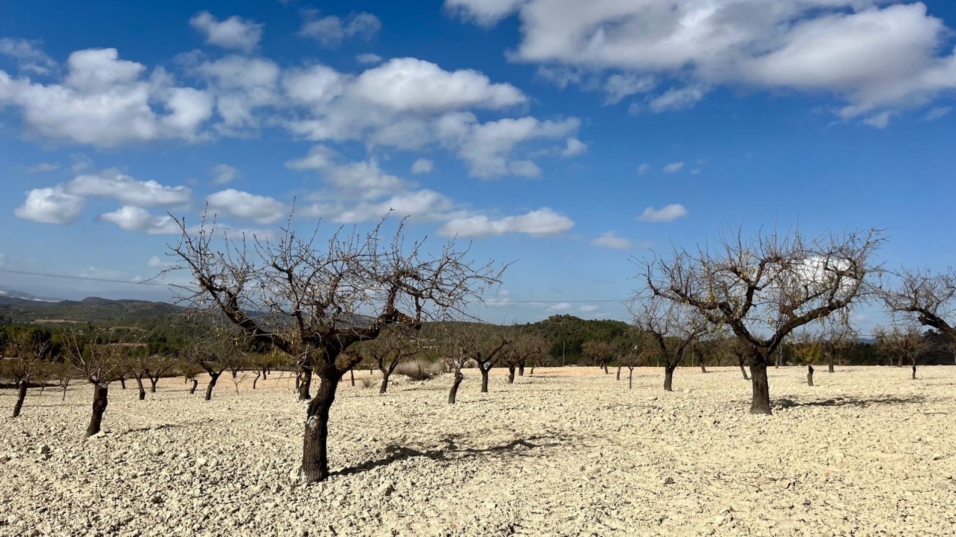 Videresalg - Grund Jord -
Bullas - Costa Calida