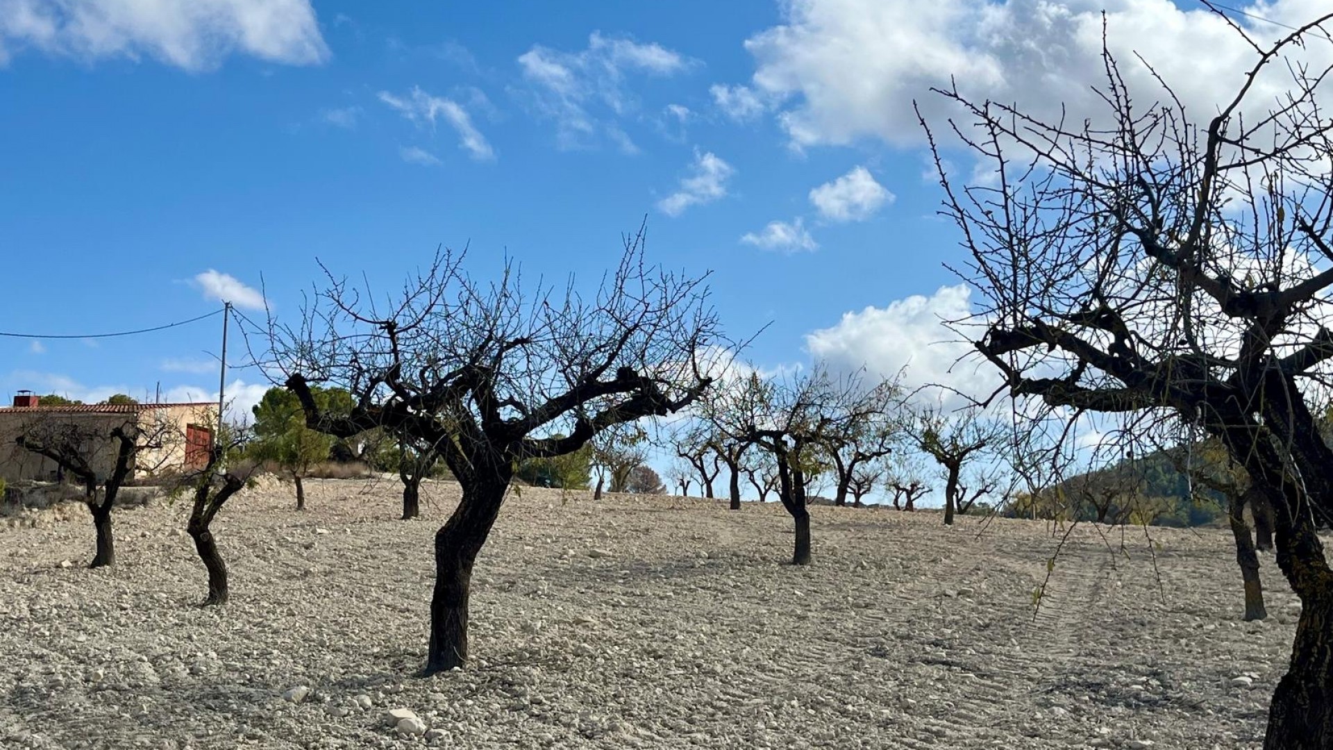 Videresalg - Grund Jord -
Bullas - Costa Calida