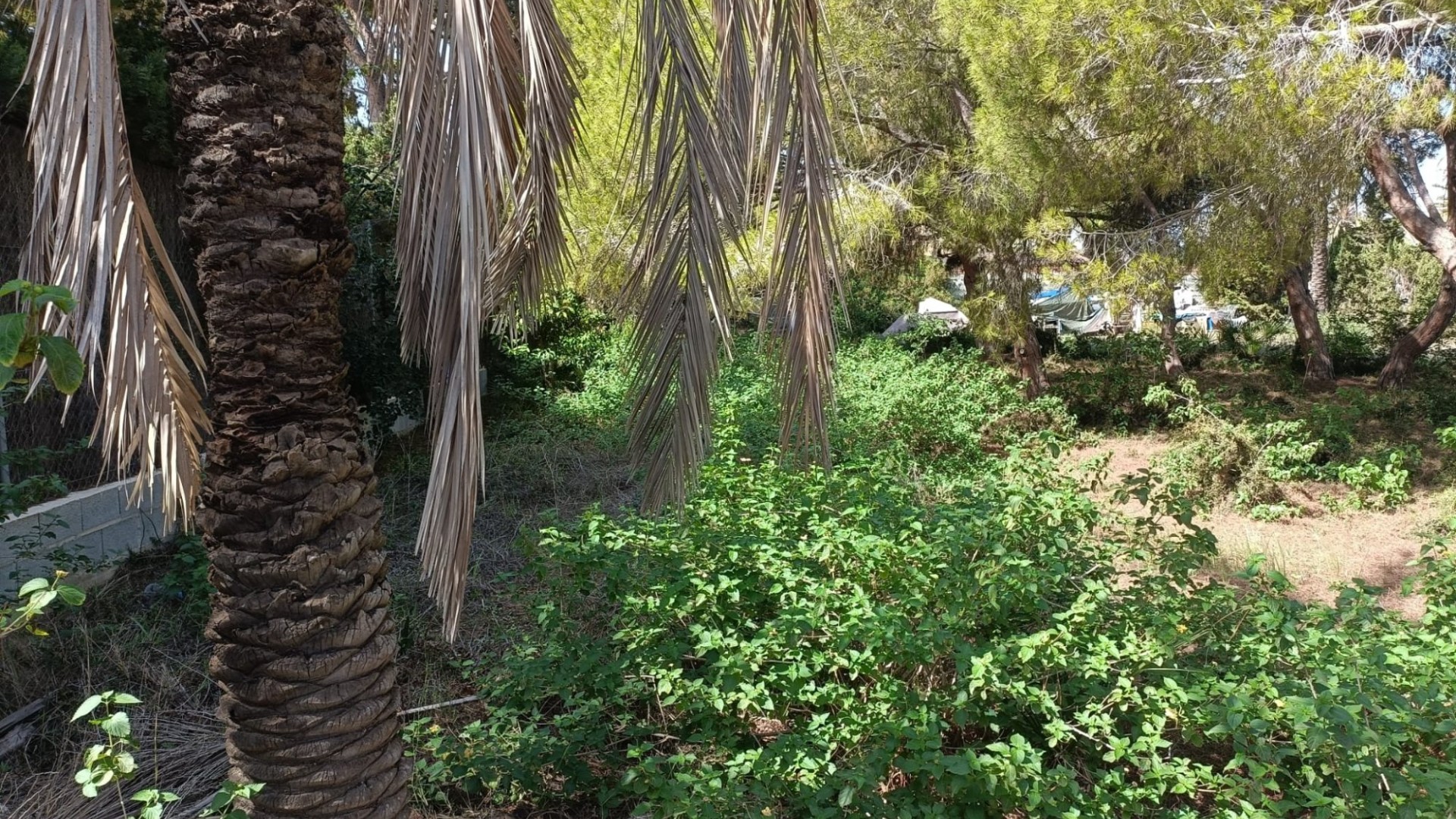 Videresalg - Grund Jord -
Cabo Roig