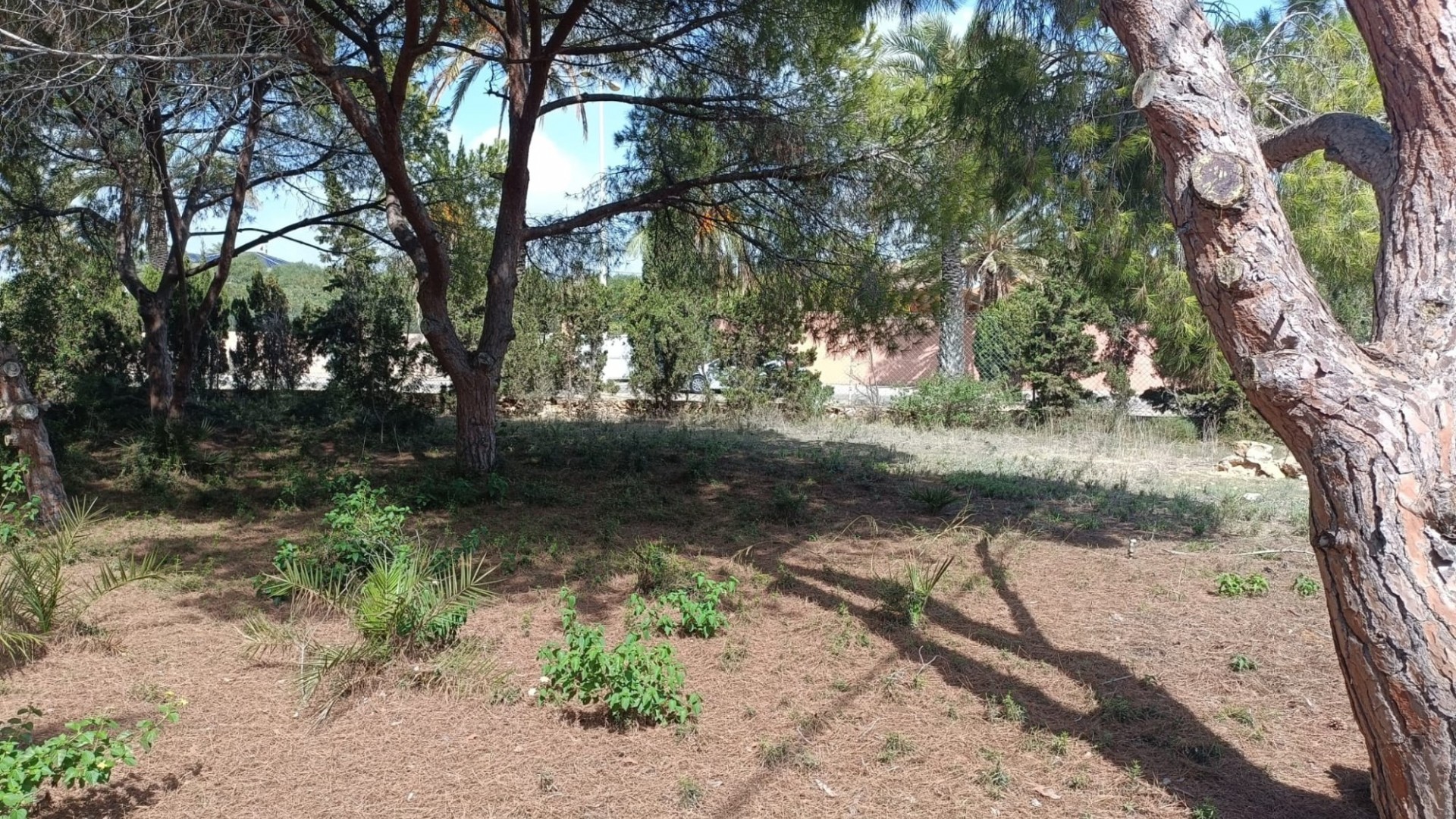 Videresalg - Grund Jord -
Cabo Roig