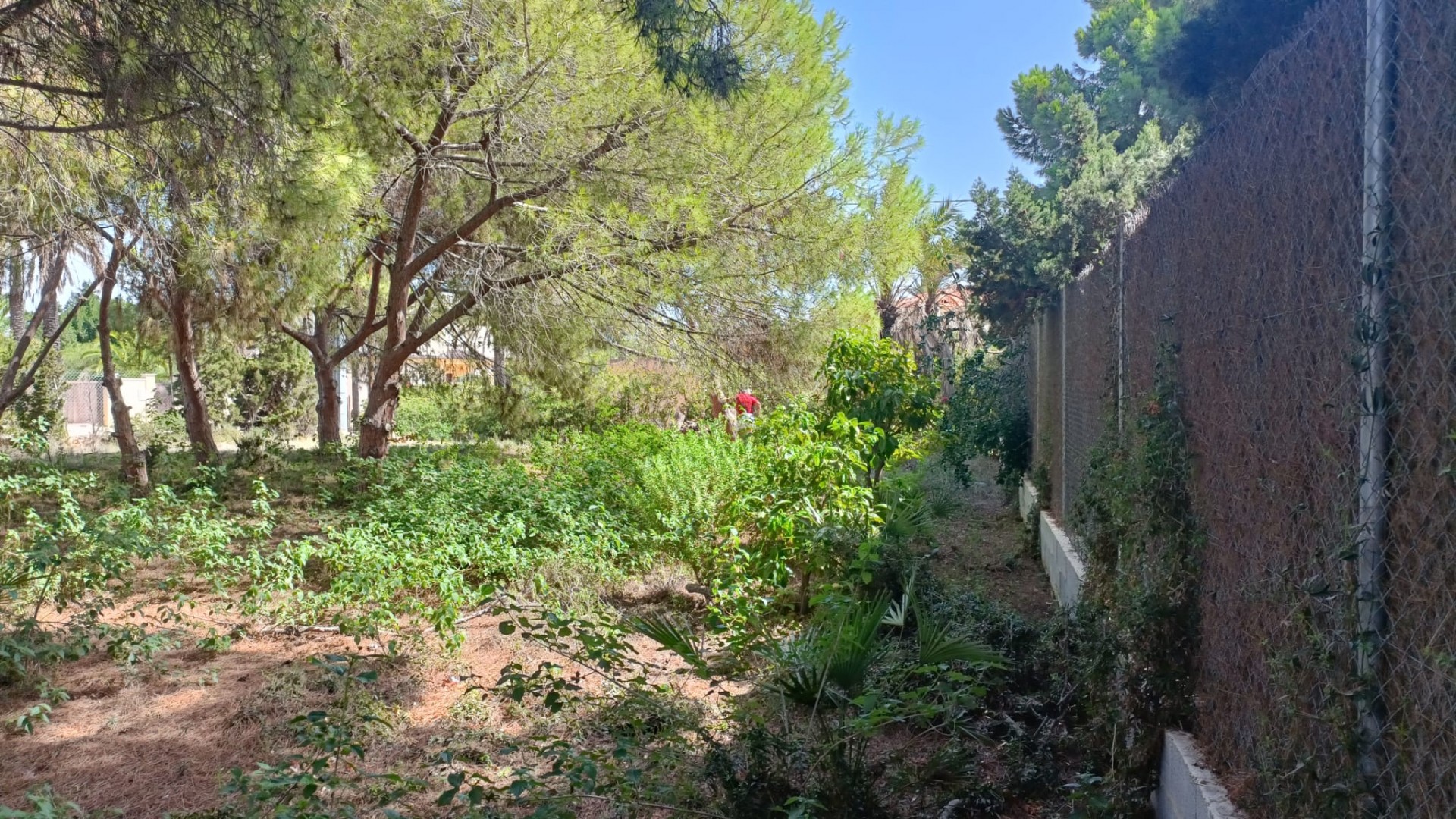 Videresalg - Grund Jord -
Cabo Roig