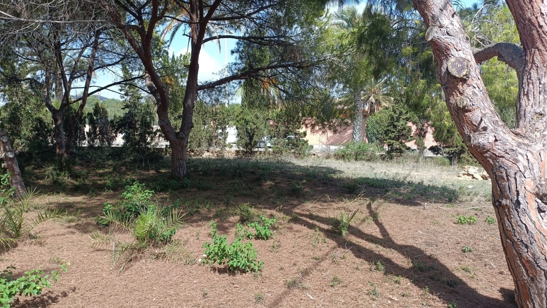 Videresalg - Grund Jord -
Cabo Roig