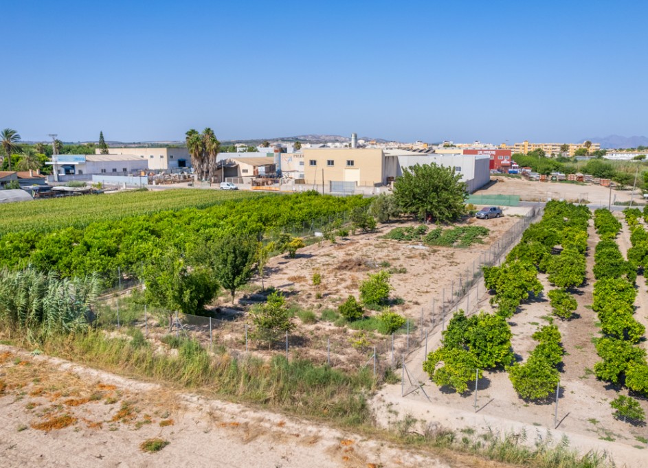 Videresalg - Grund Jord -
Formentera del Segura - Formentera de Segura
