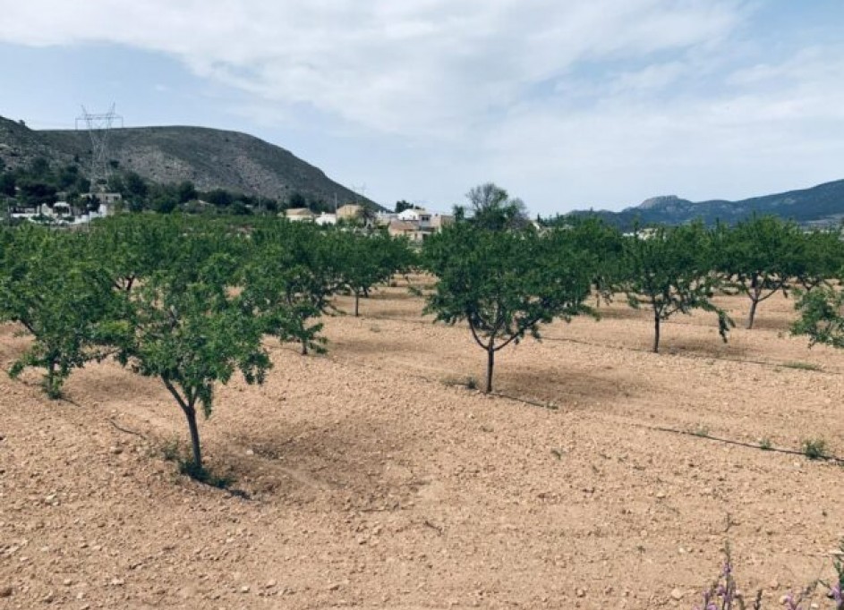 Videresalg - Grund Jord -
La Romana