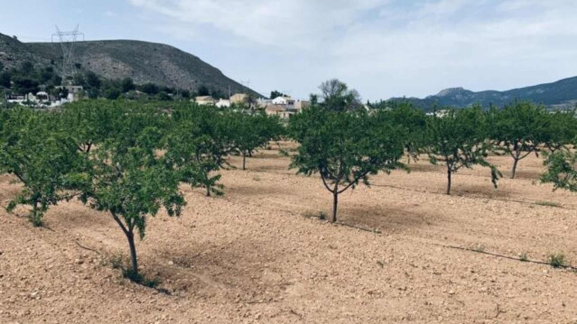 Videresalg - Grund Jord -
La Romana