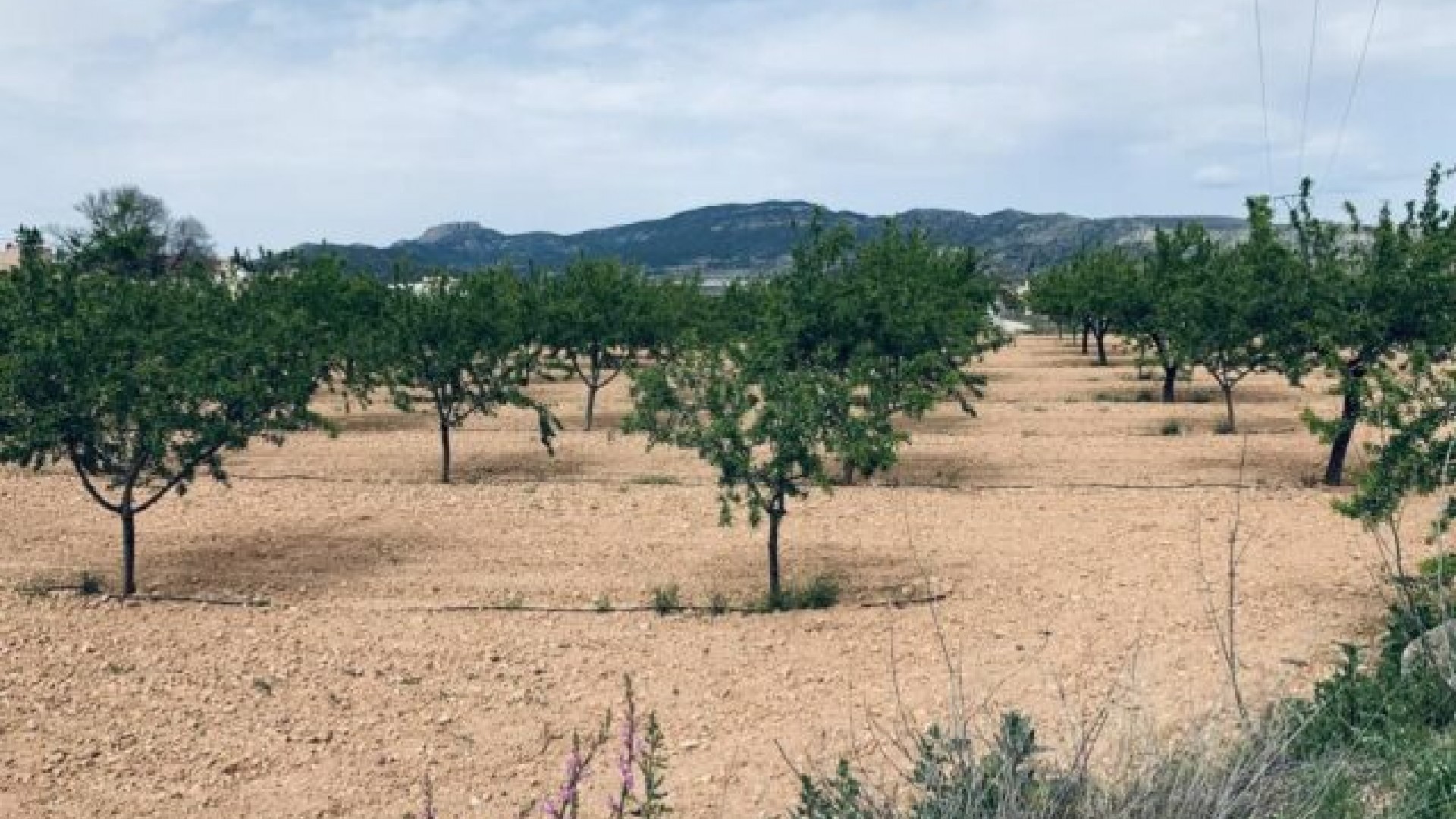 Videresalg - Grund Jord -
La Romana