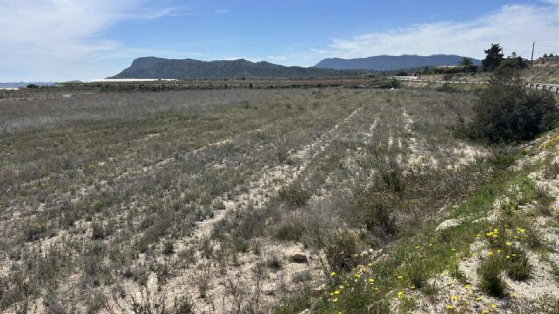 Videresalg - Grund Jord -
La Romana