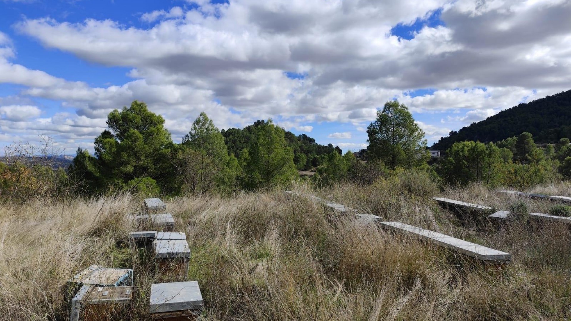 Videresalg - Grund Jord -
Moratalla