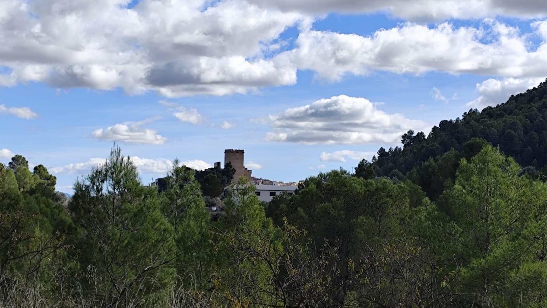 Videresalg - Grund Jord -
Moratalla