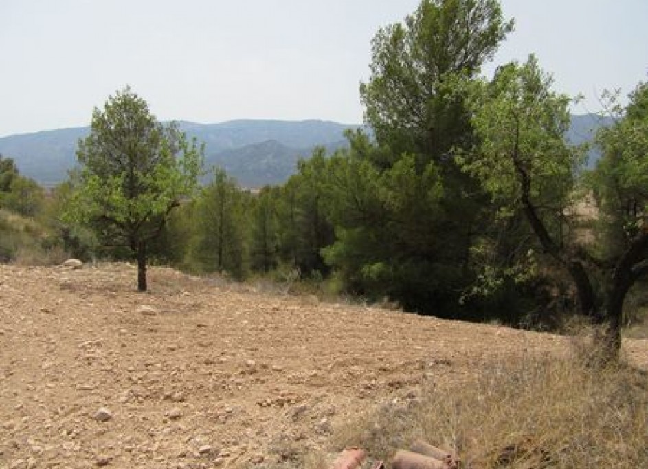 Videresalg - Grund Jord -
Murcia