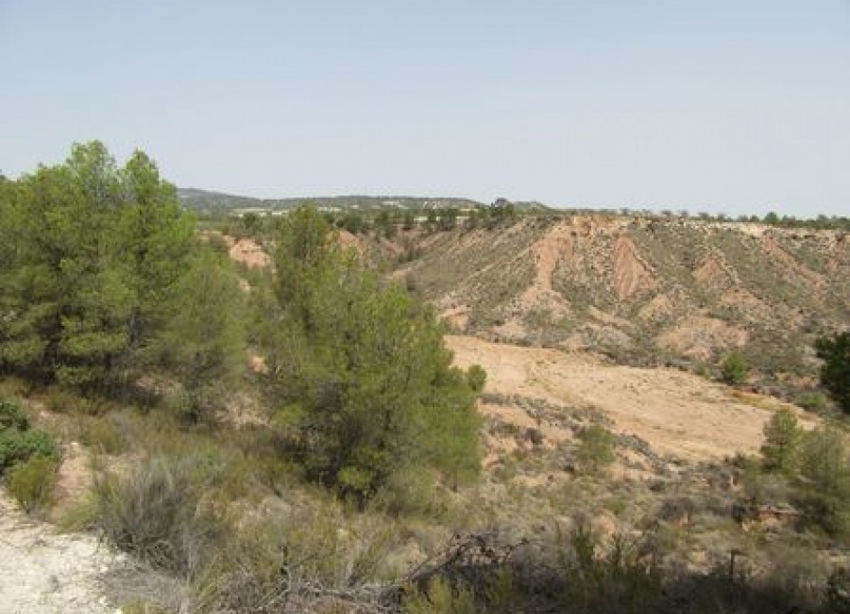 Videresalg - Grund Jord -
Murcia