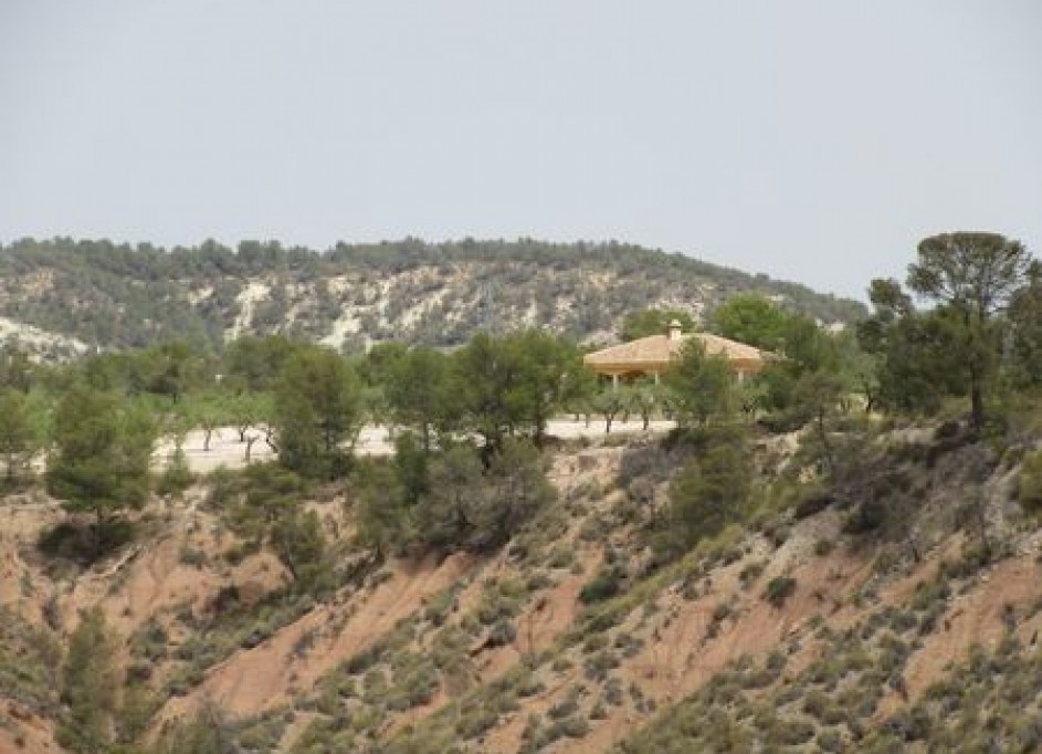 Videresalg - Grund Jord -
Murcia