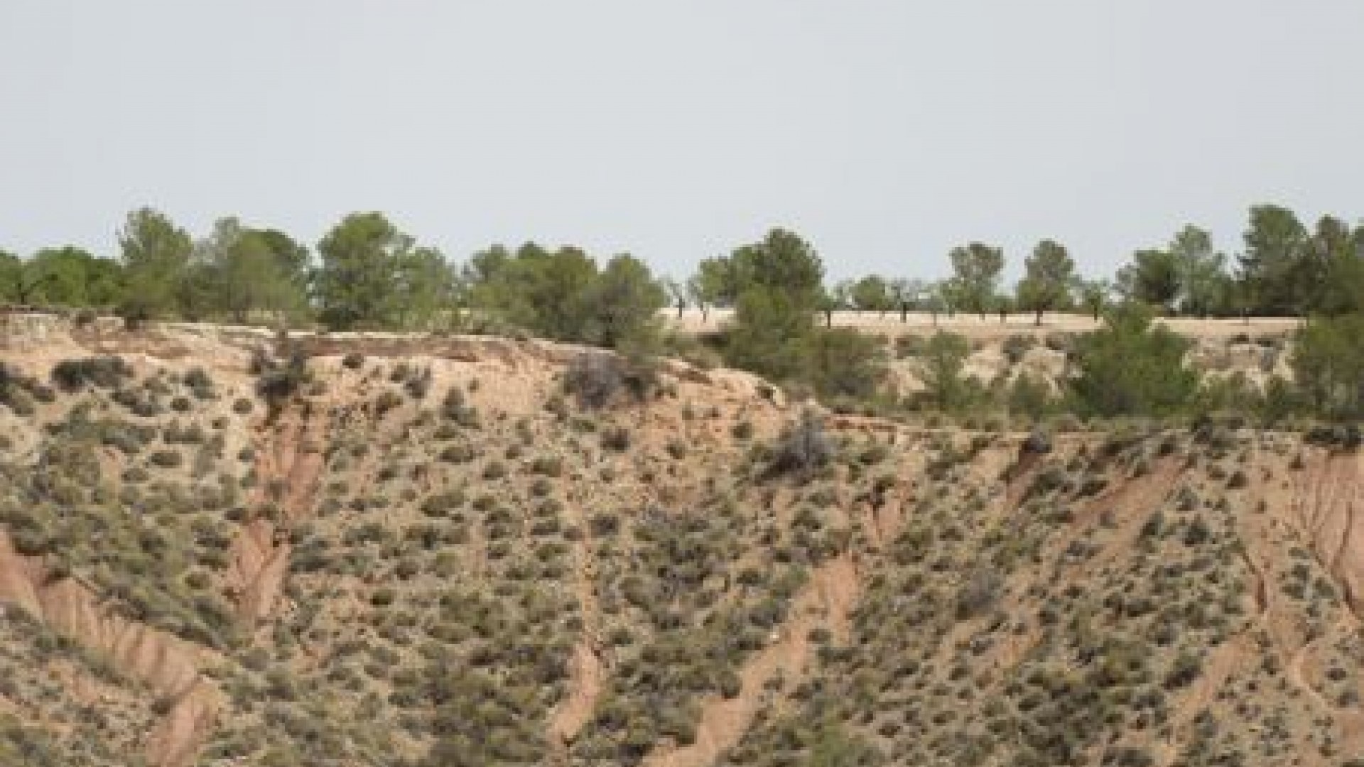 Videresalg - Grund Jord -
Murcia