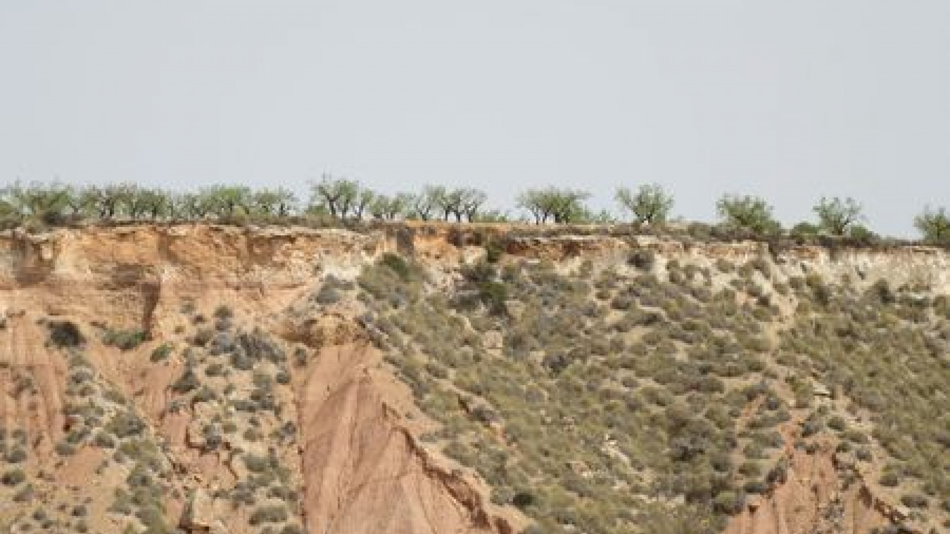 Videresalg - Grund Jord -
Murcia