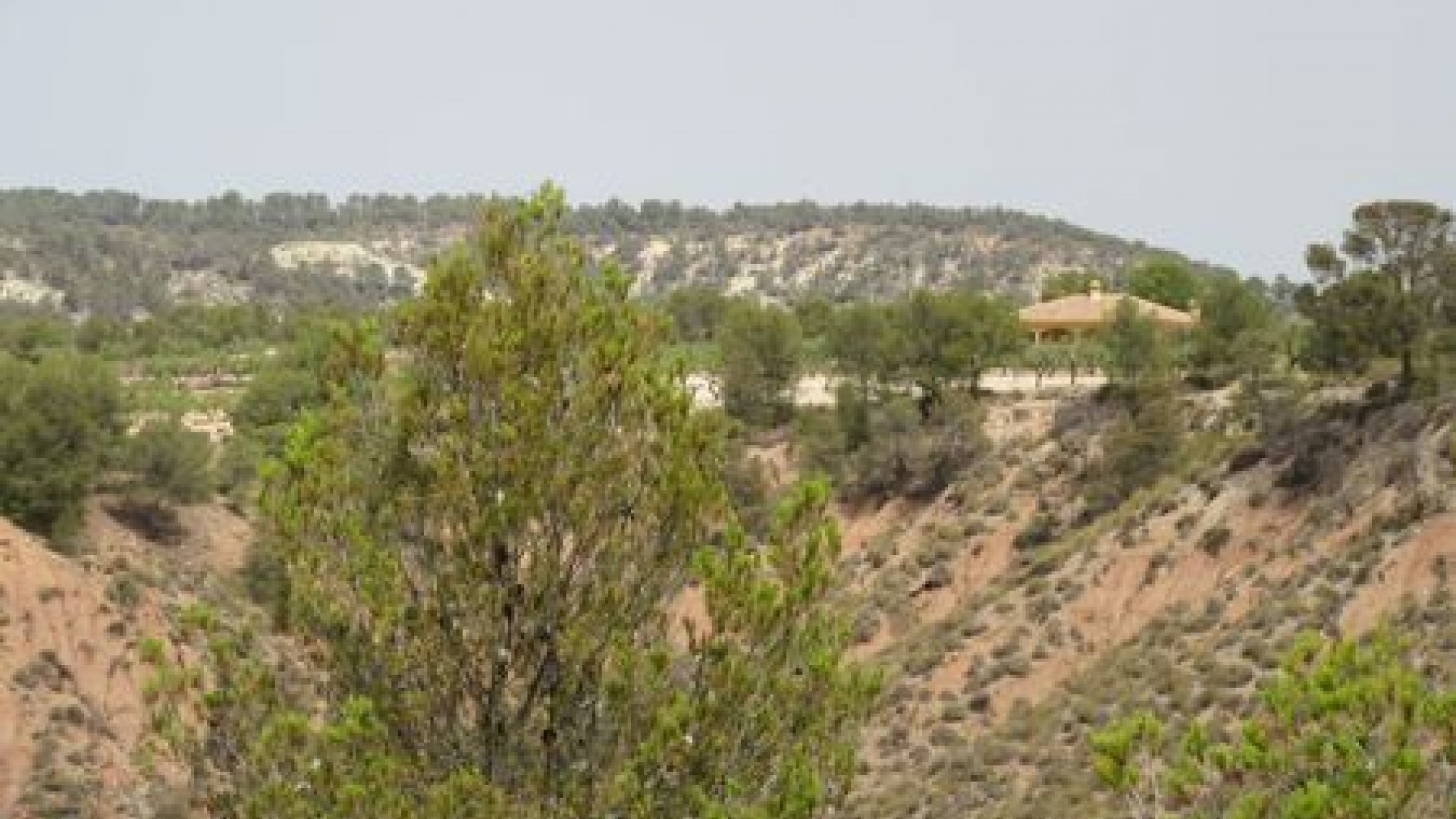 Videresalg - Grund Jord -
Murcia