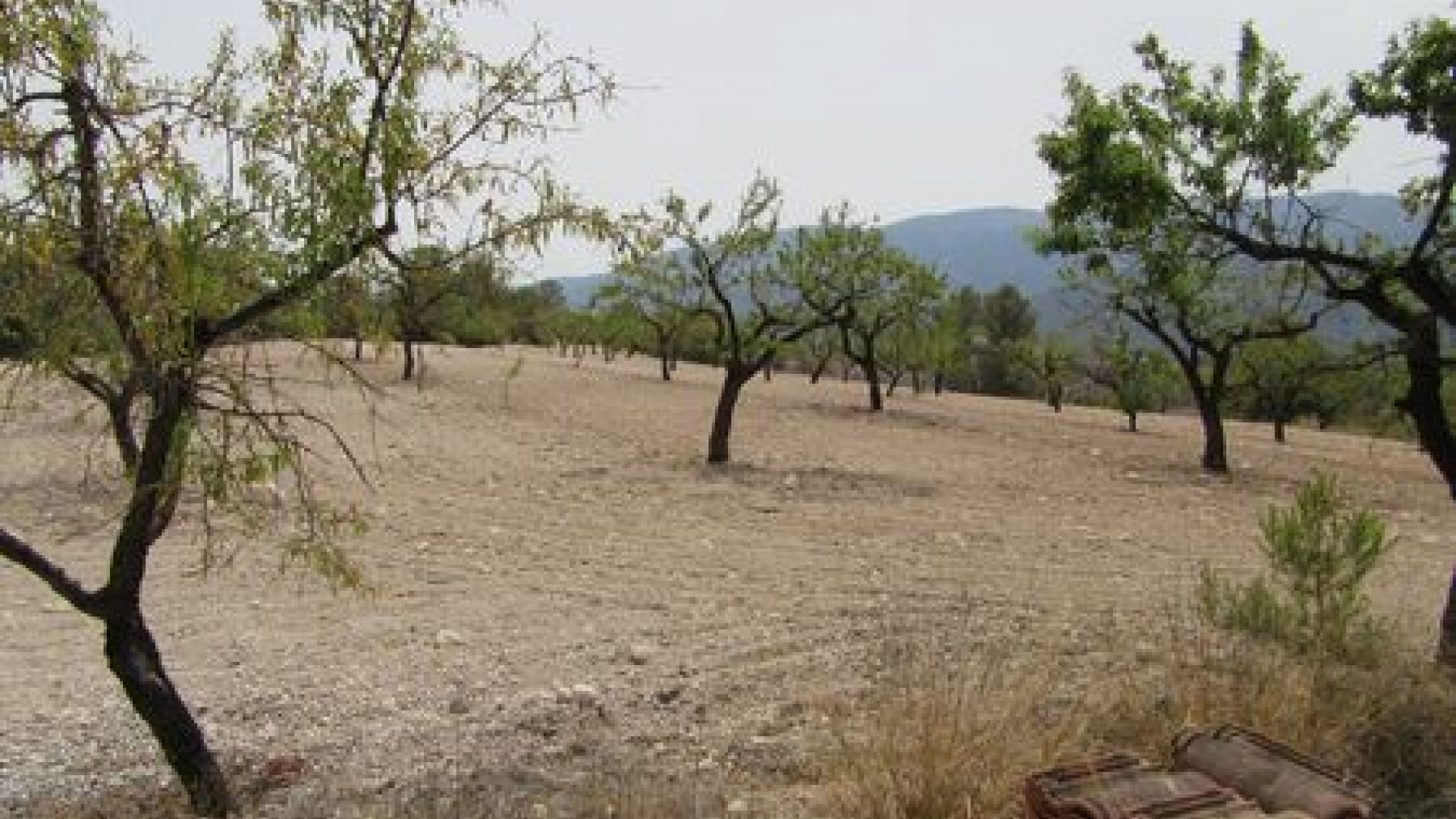 Videresalg - Grund Jord -
Murcia