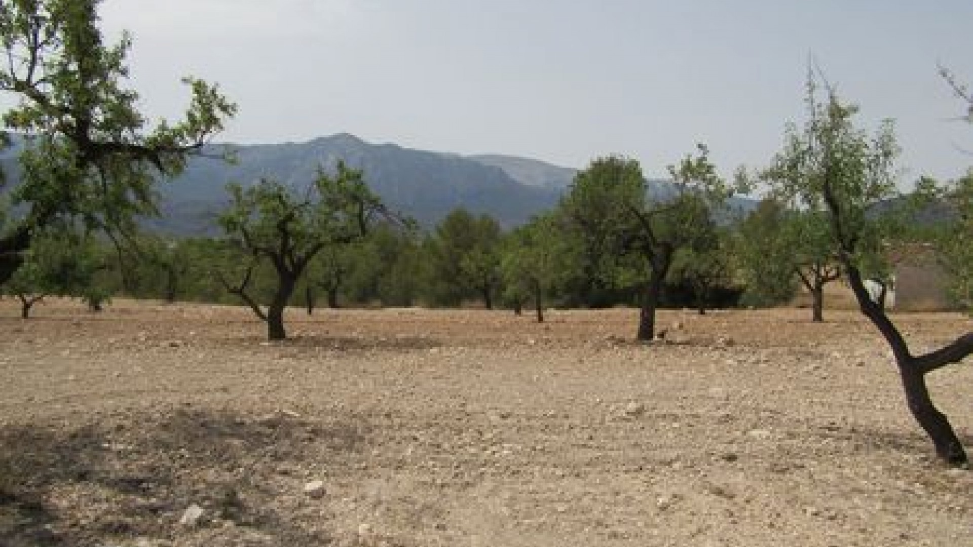 Videresalg - Grund Jord -
Murcia