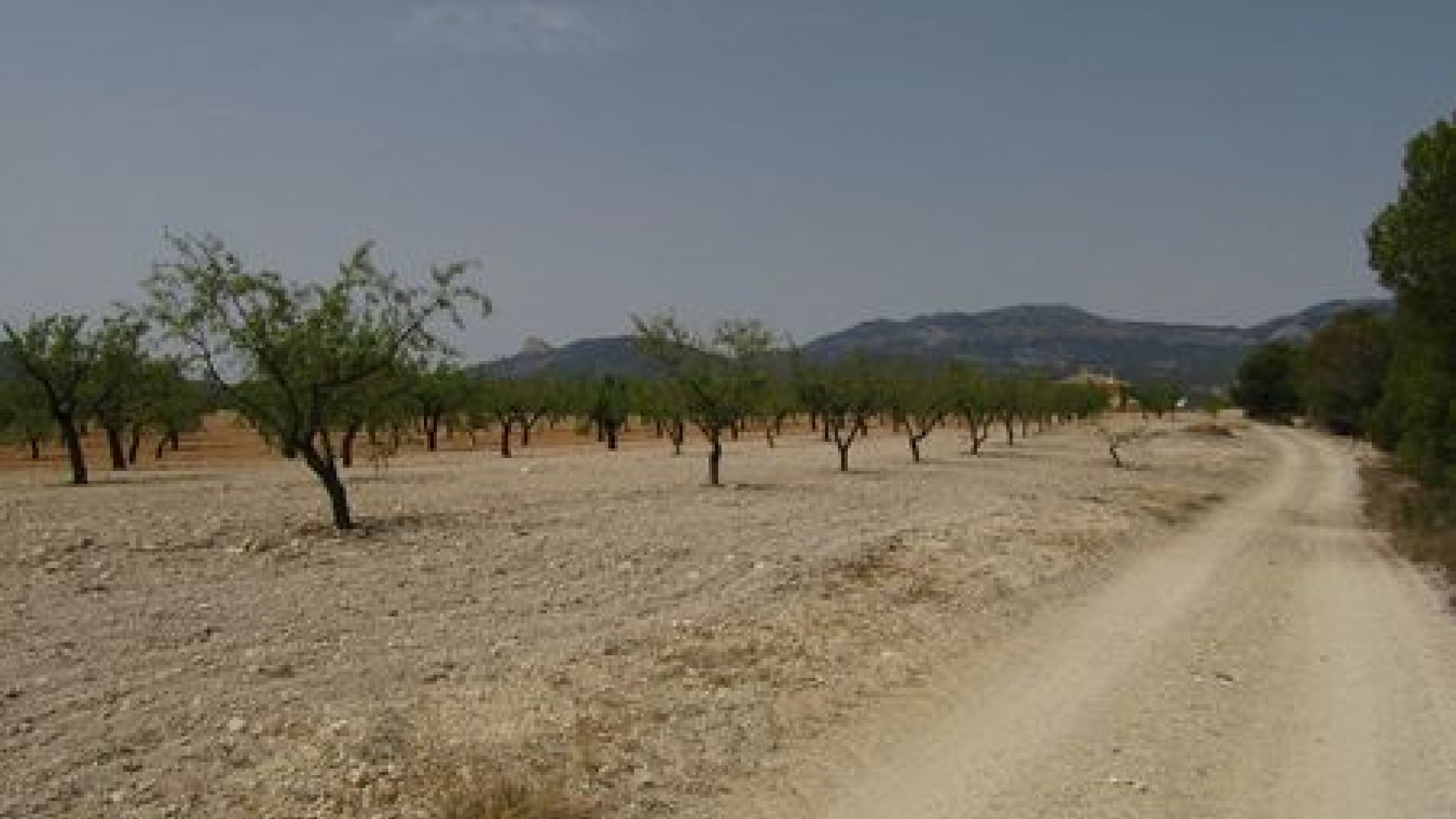 Videresalg - Grund Jord -
Murcia