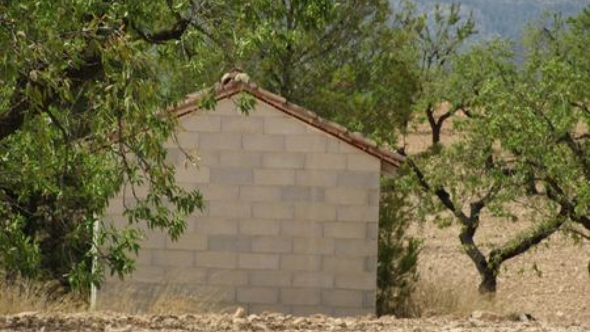 Videresalg - Grund Jord -
Murcia