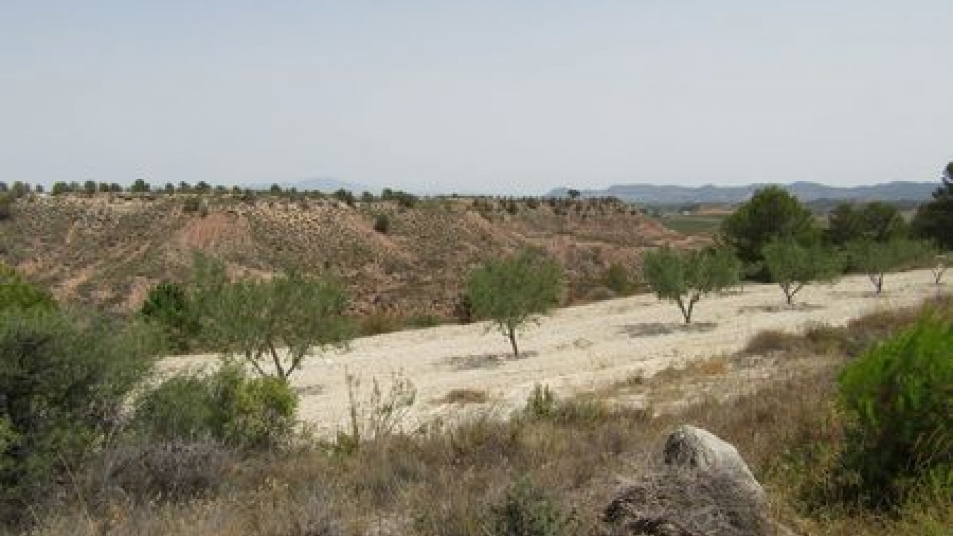 Videresalg - Grund Jord -
Murcia