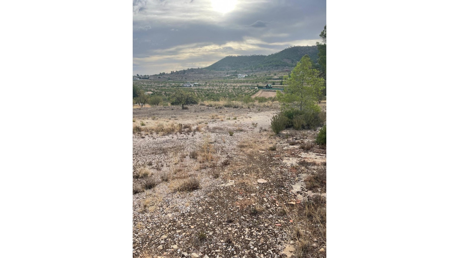 Videresalg - Grund Jord -
Pinoso - Pinoso Alicante