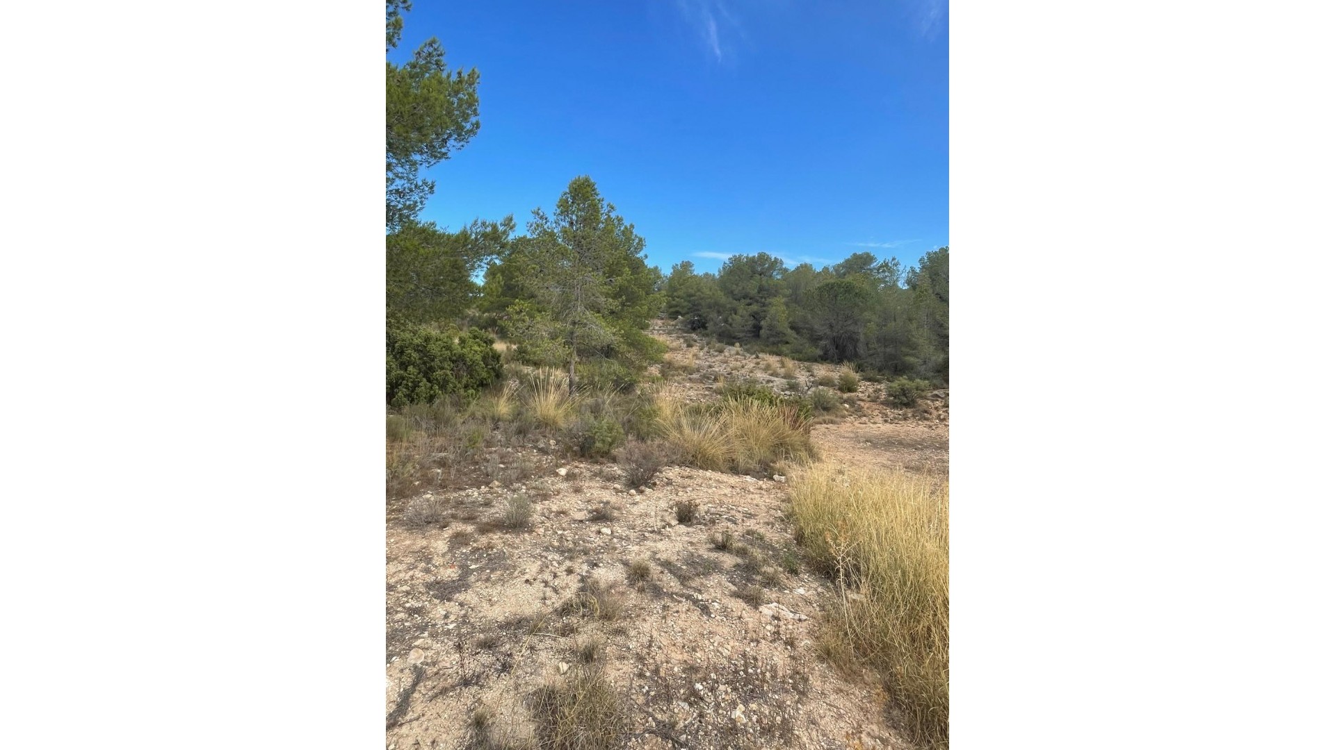 Videresalg - Grund Jord -
Pinoso - Pinoso Alicante