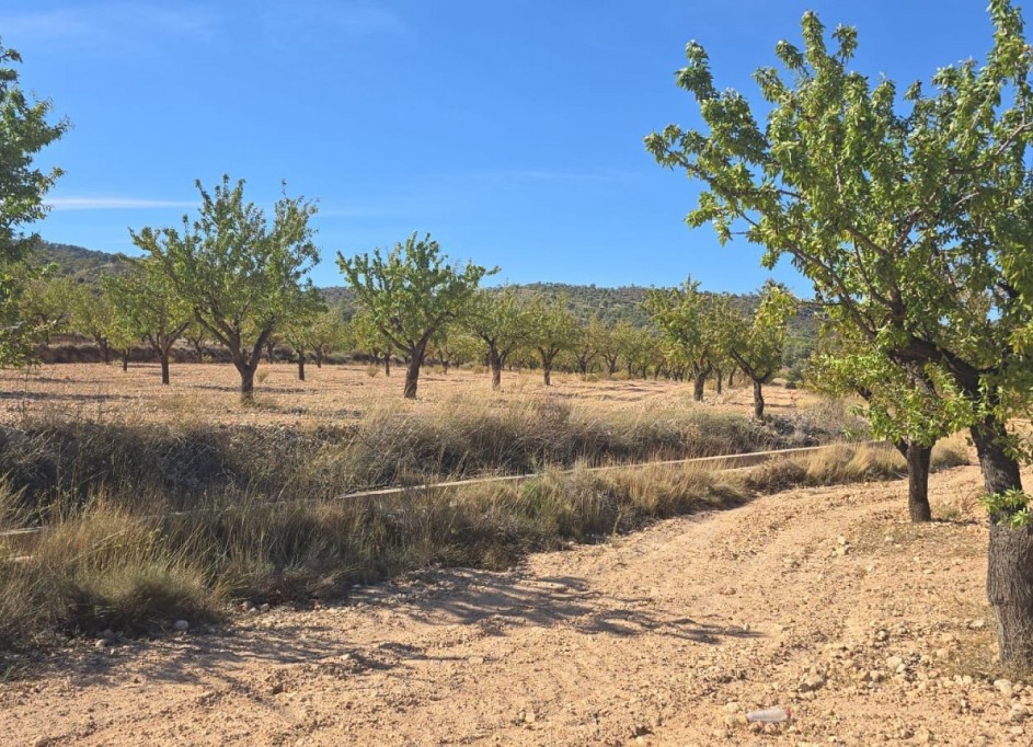 Videresalg - Grund Jord -
Salinas