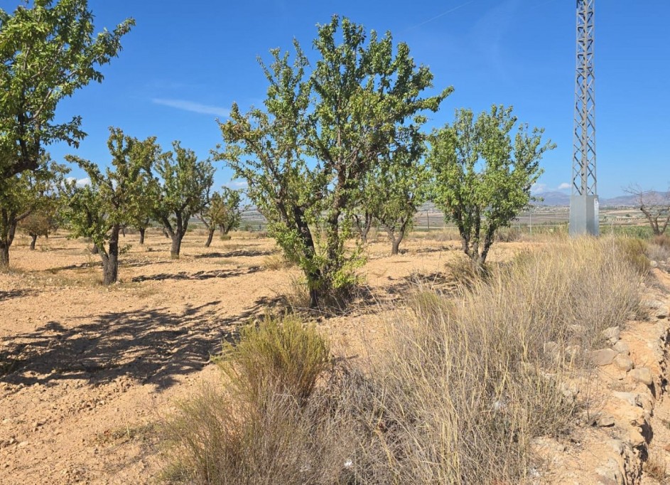 Videresalg - Grund Jord -
Salinas