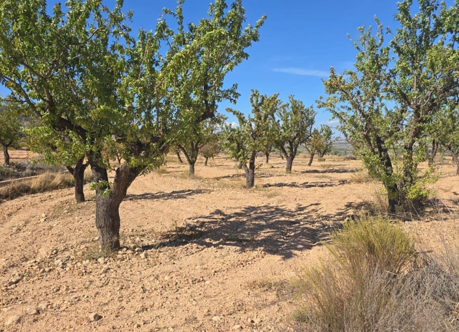 Videresalg - Grund Jord -
Salinas