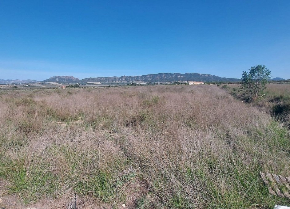 Videresalg - Grund Jord -
Salinas