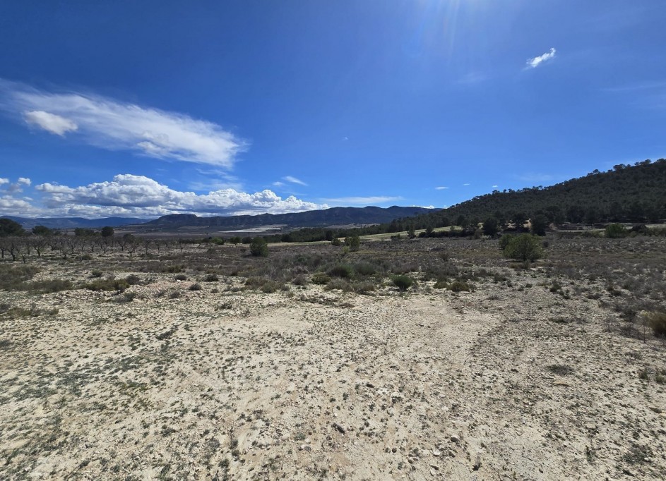 Videresalg - Grund Jord -
Salinas