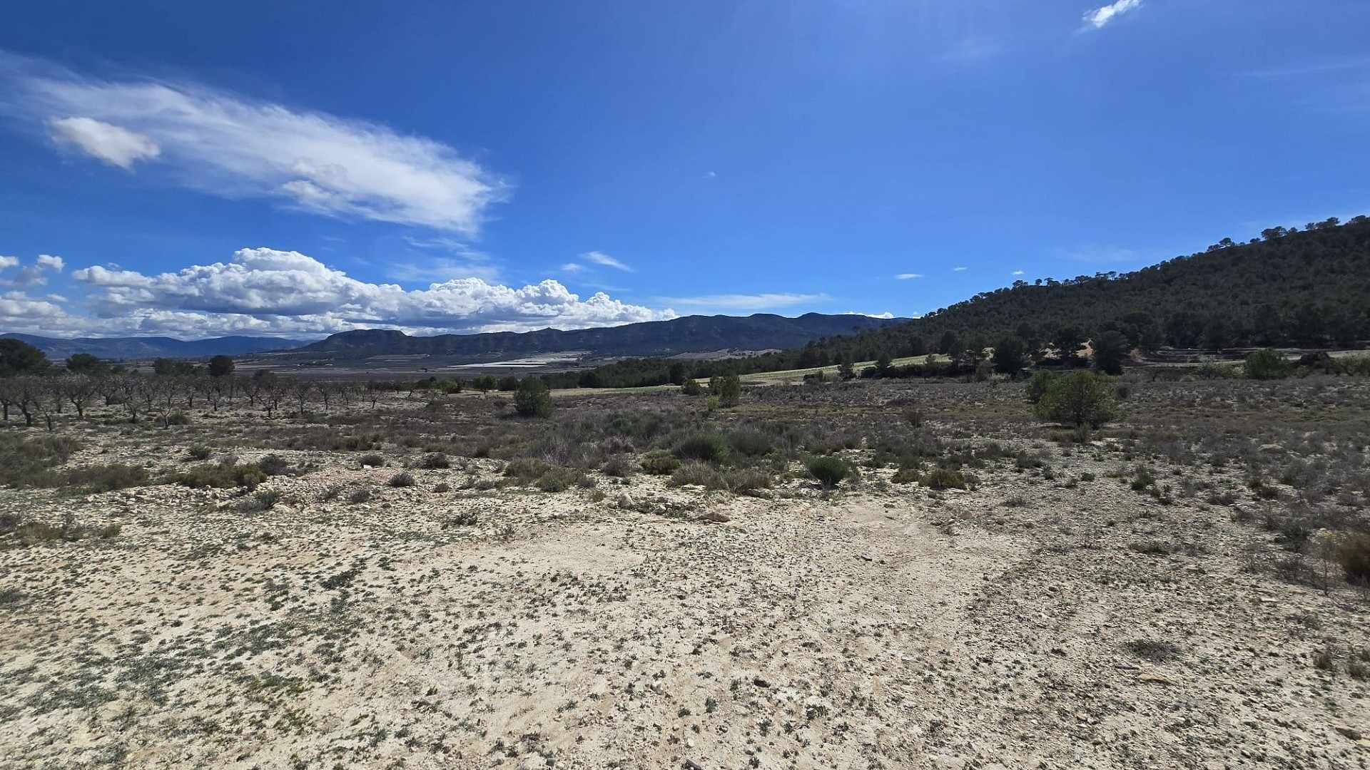 Videresalg - Grund Jord -
Salinas