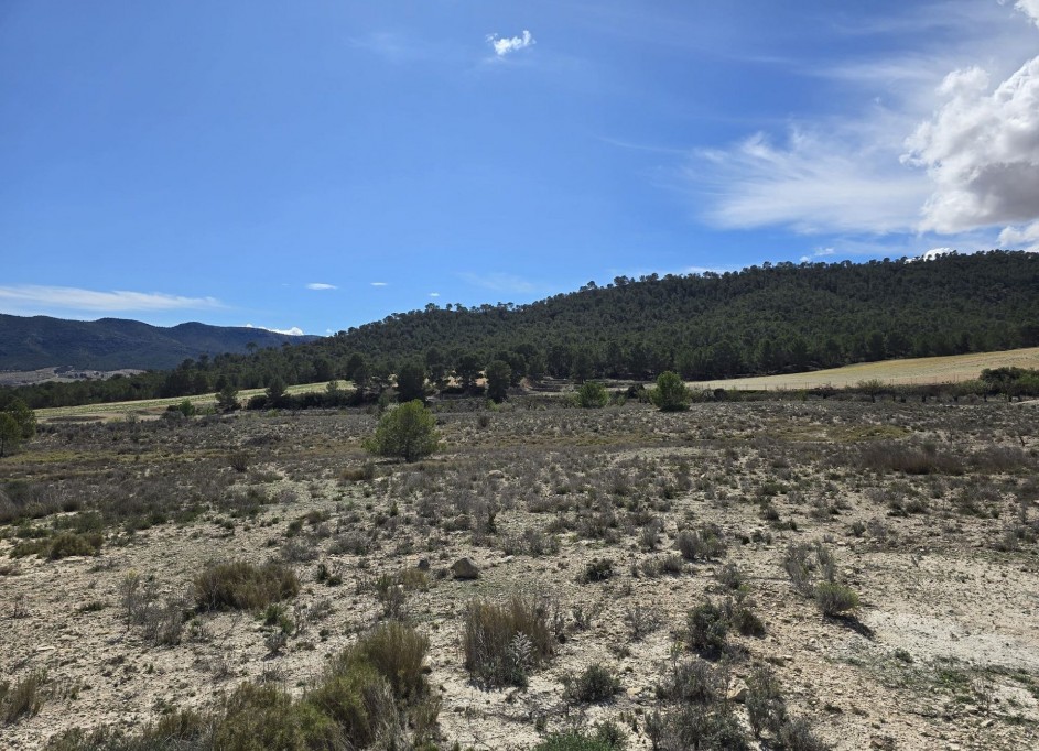 Videresalg - Grund Jord -
Salinas