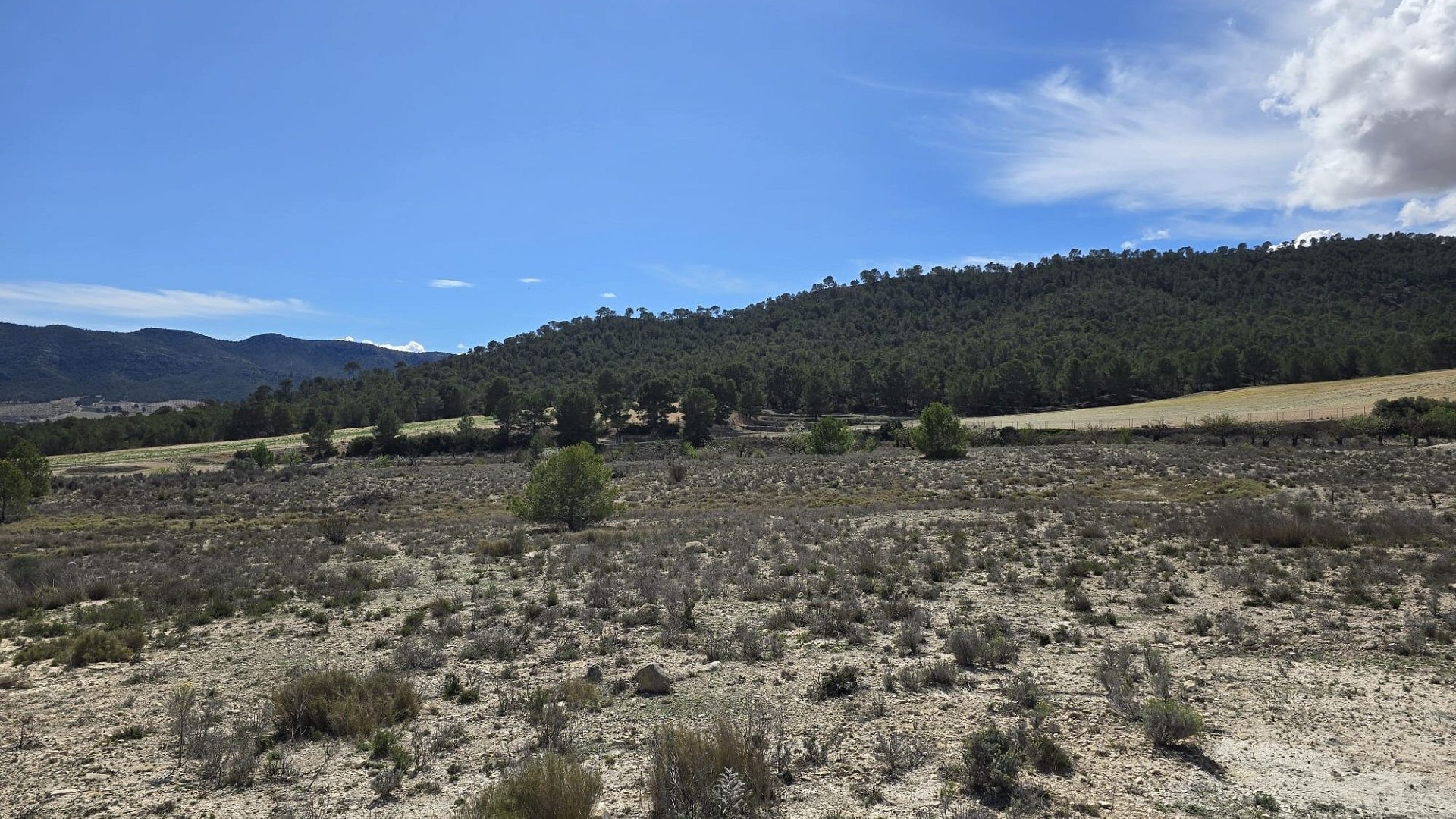 Videresalg - Grund Jord -
Salinas