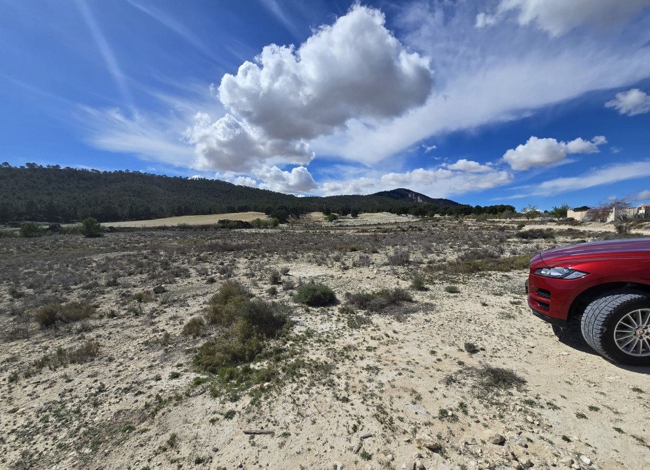 Videresalg - Grund Jord -
Salinas