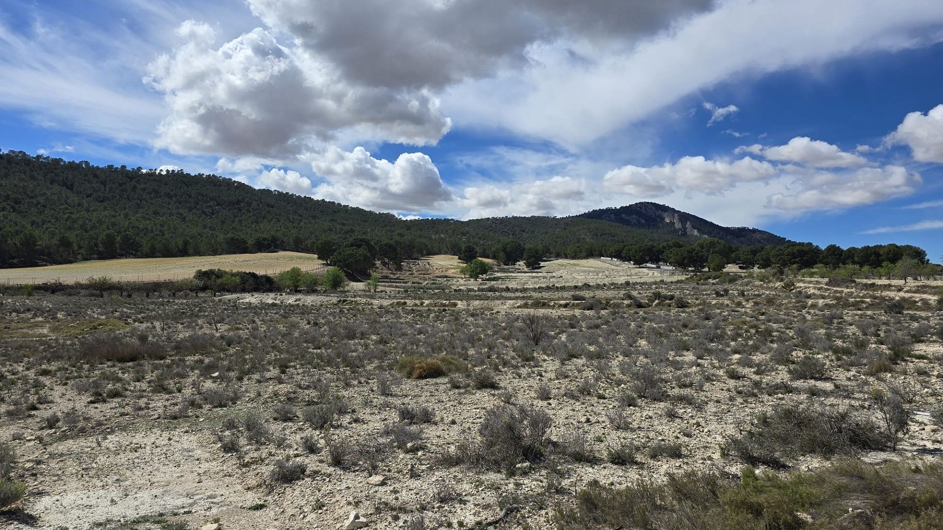 Videresalg - Grund Jord -
Salinas