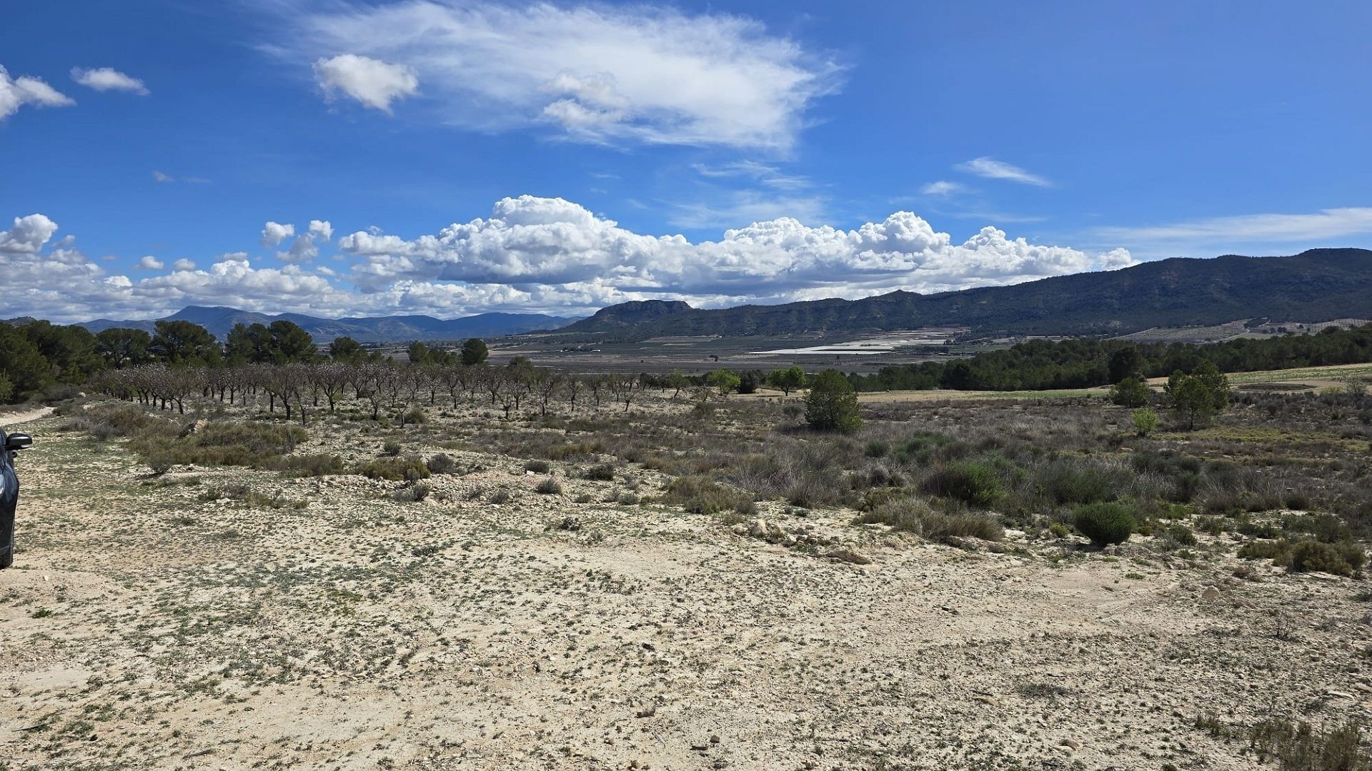 Videresalg - Grund Jord -
Salinas