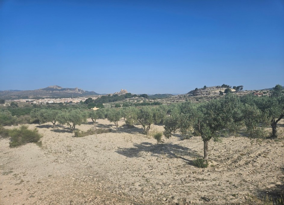 Videresalg - Grund Jord -
SAX