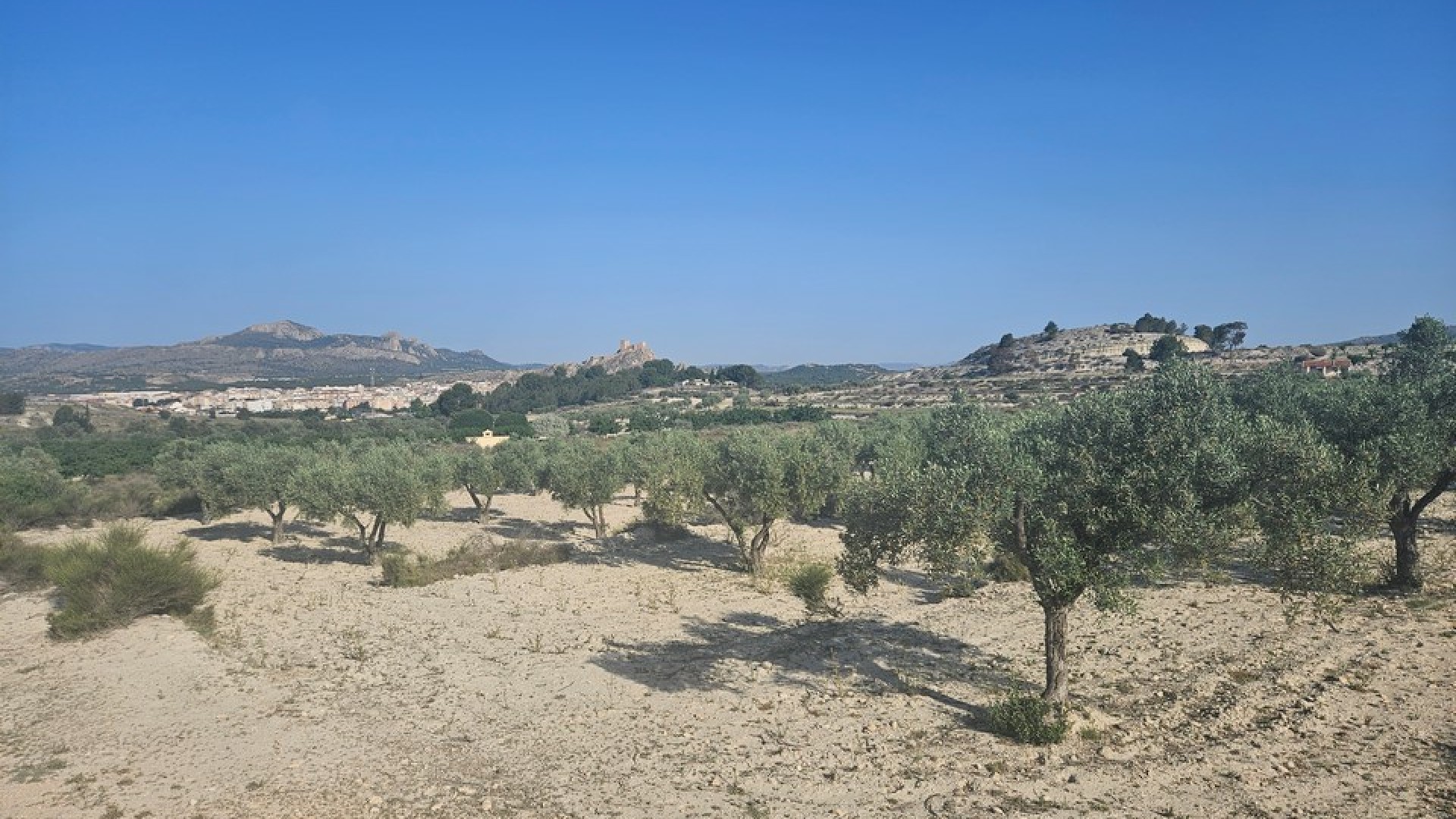 Videresalg - Grund Jord -
SAX