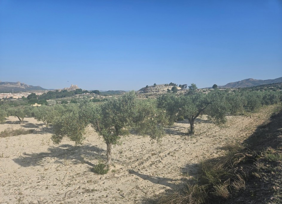 Videresalg - Grund Jord -
SAX