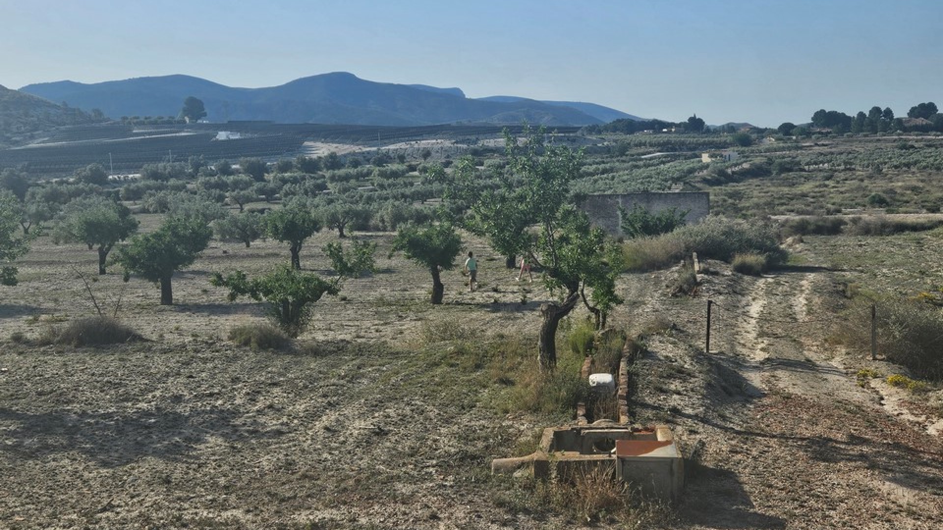 Videresalg - Grund Jord -
SAX